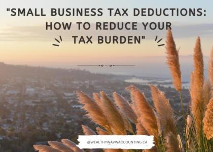 SMALL BUSINESS TAX WRITE OFF CANADA